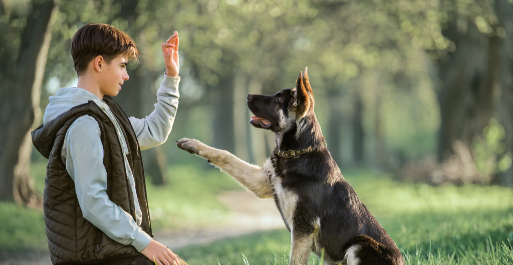 Прогулки на свежем воздухе: 2 часа в день для поддержки зрения школьника